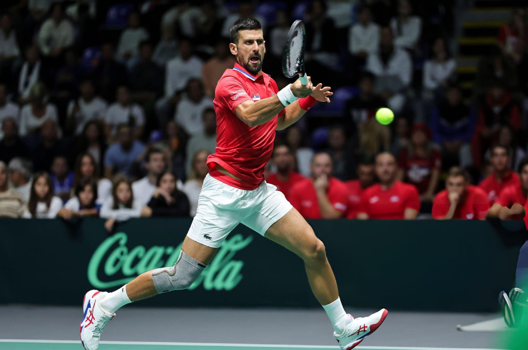 戴维斯杯碾压美网,德约科维奇统治全场 戴维斯杯碾压美网,德约科维奇统治全场