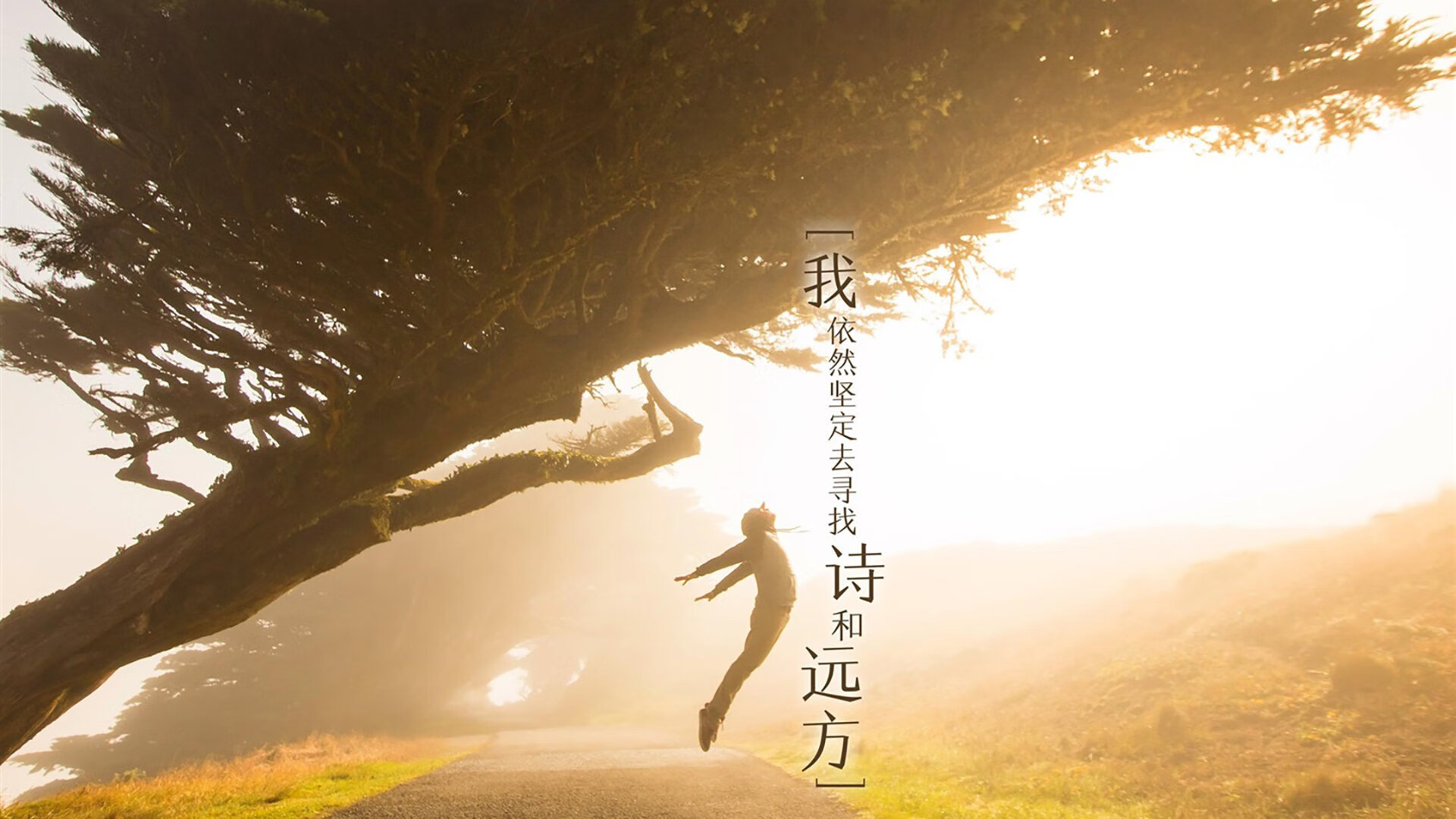 另类欧冠淘汰赛之夜,当西亚卡姆在关键时刻站出来
