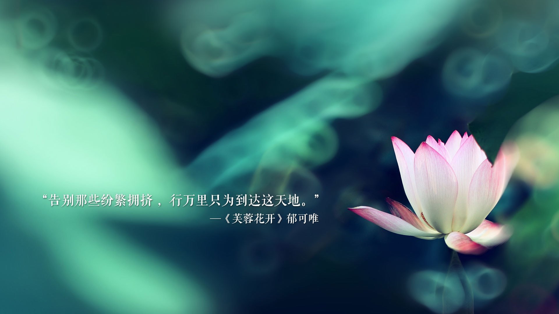 岔路口上的22届双星,当班凯罗的缓慢照亮莫兰特的飞速