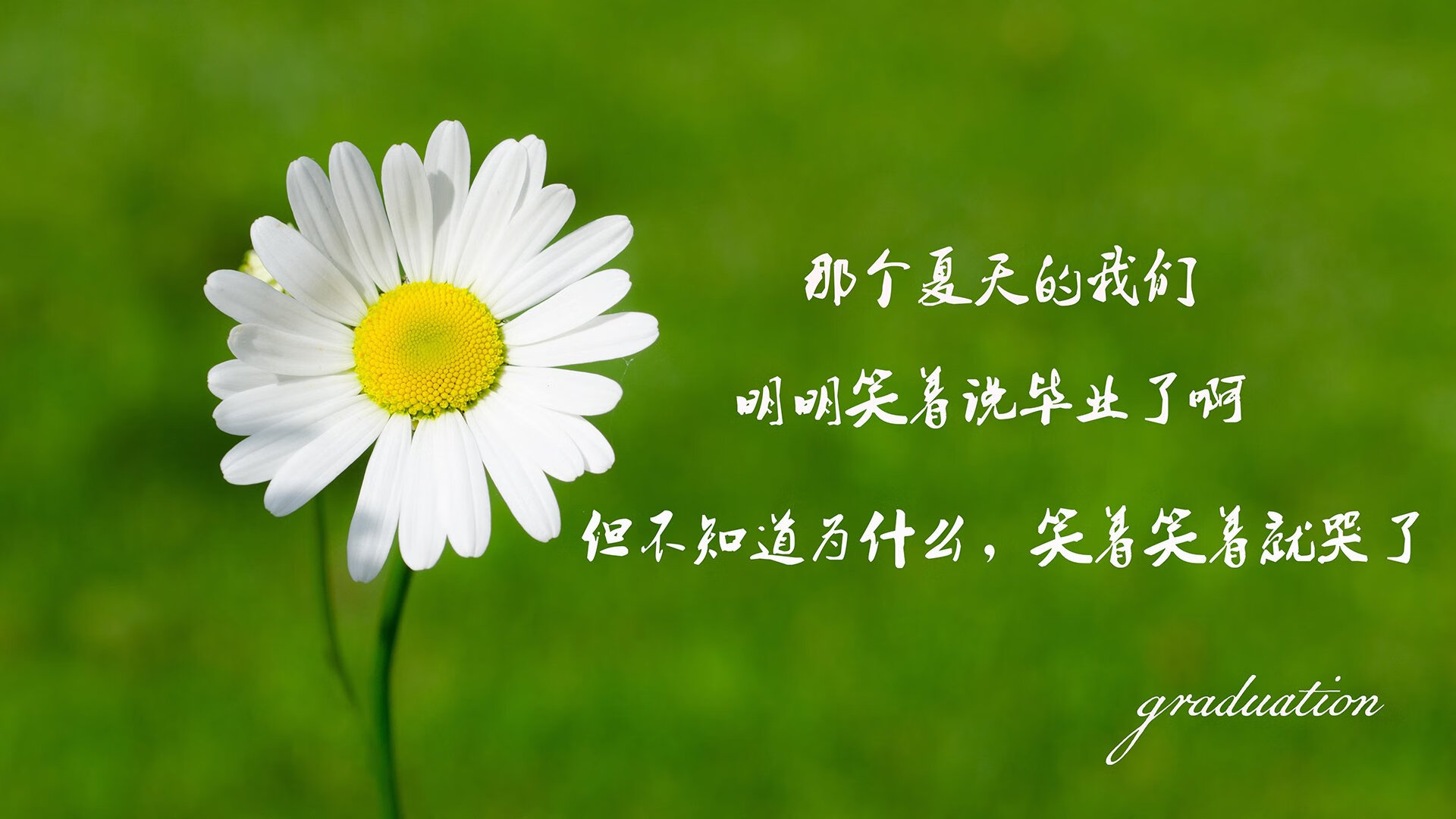 火箭主场狂胜凯尔特人,武切维奇冠军级表现主宰比赛