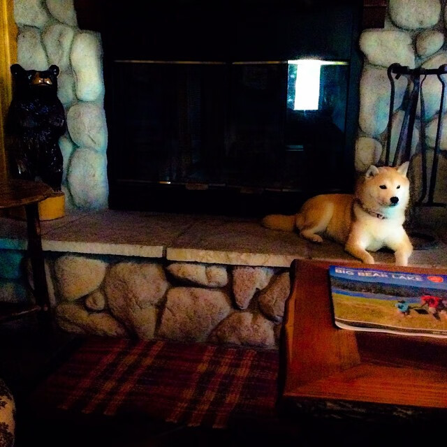 绿茵烈日下的破冰者,加维如何用一脚弧线改写中非足球史