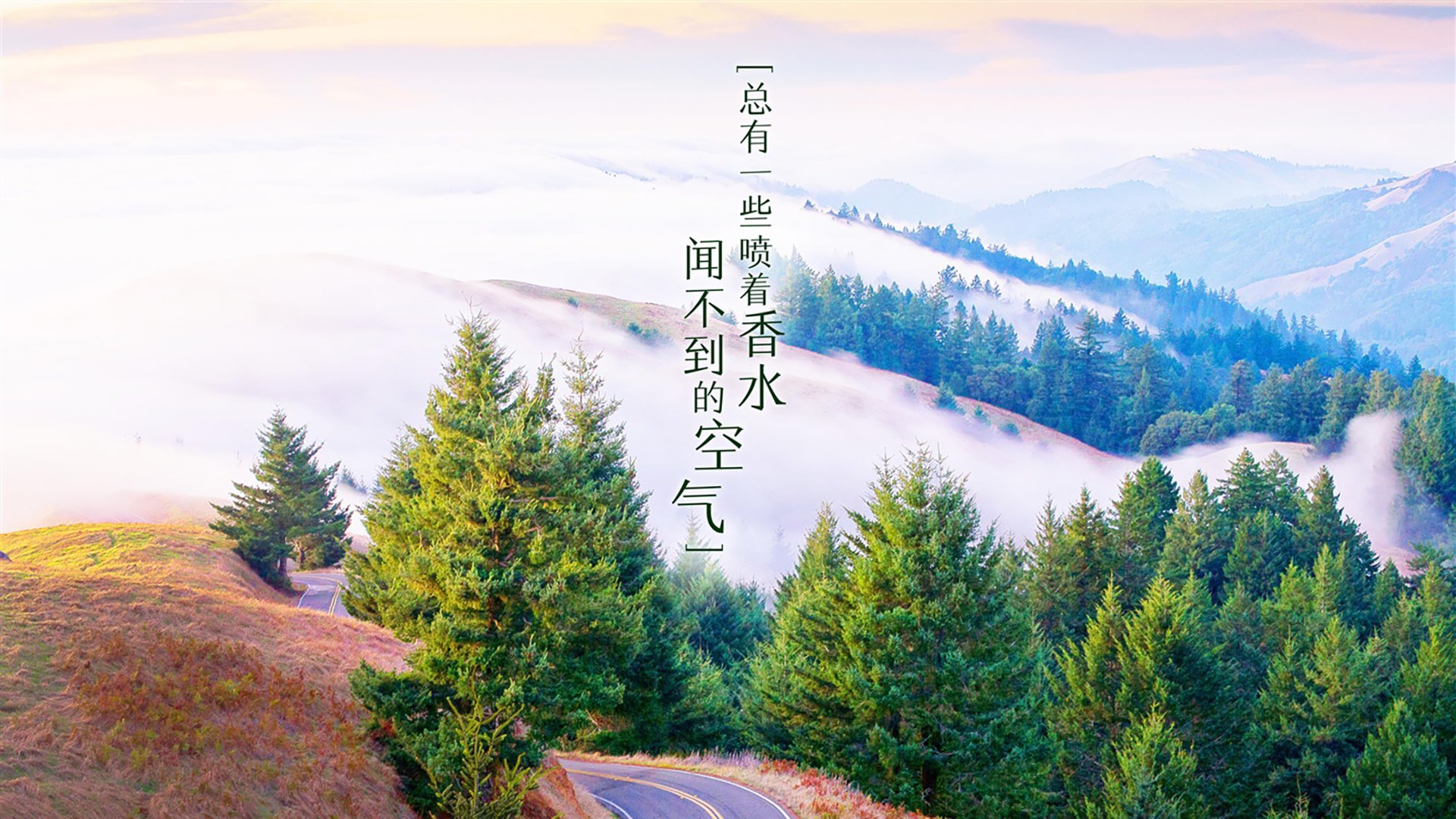 曼城的蓝色风暴中,韩国前锋黄喜灿为何是唯一失控变量?
