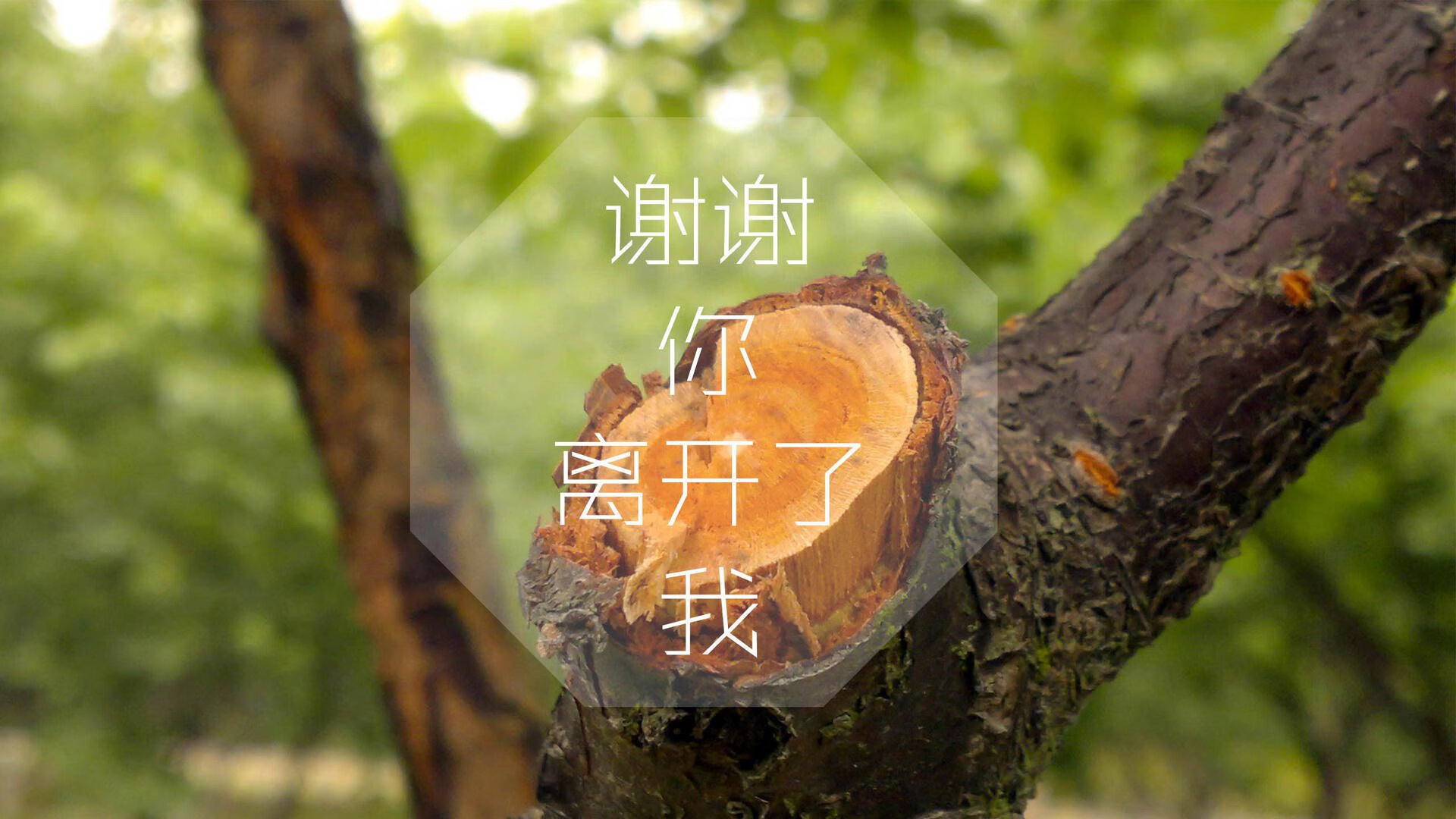 那个被遗忘的夜晚,东契奇惊艳四座的宿命,与开拓者击败湖人的最后七秒