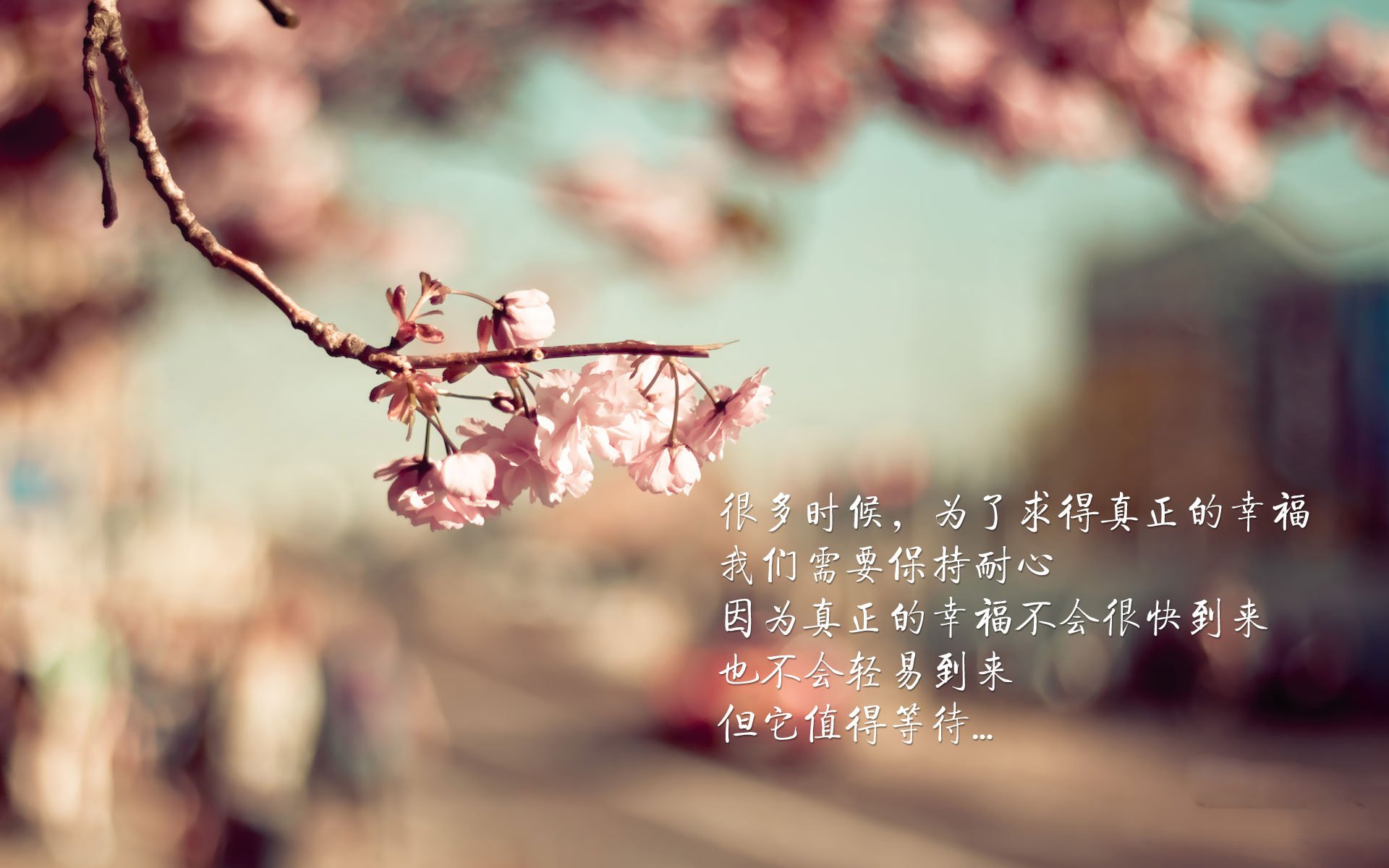 唯一的假象，2026世界杯G组生死战，挪威的完胜与塔雷米一个人的真理
