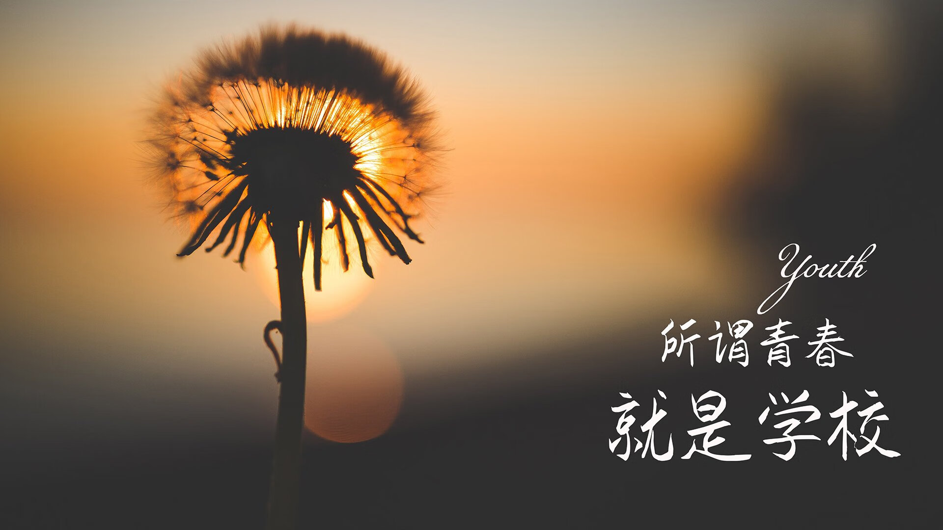 基于这个独特的设定，我们构思标题和文章